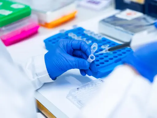 Metabolite Profile of Tissue